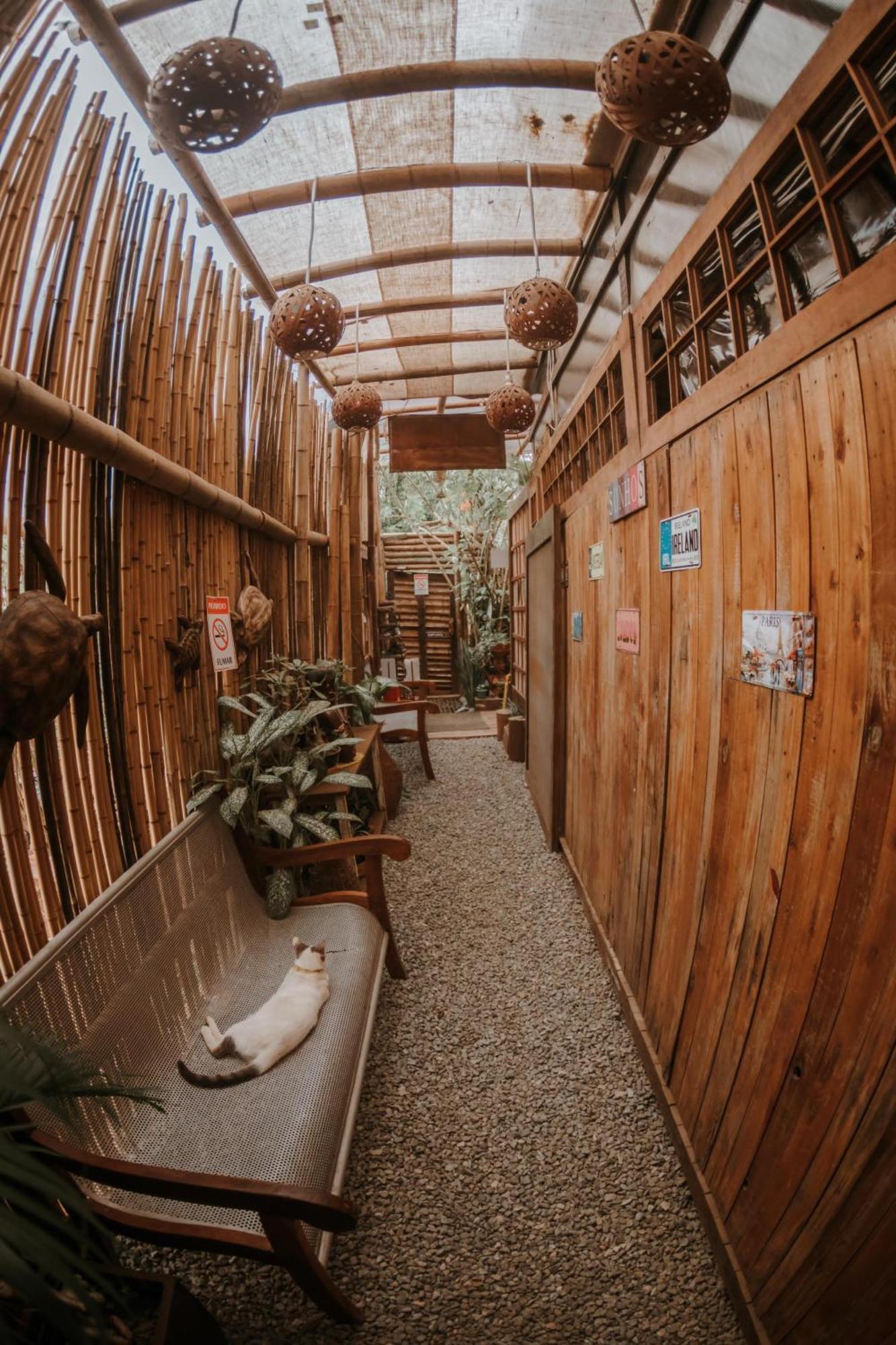 Doce Lar Hostel Noronha فرناندو دي نورونها المظهر الخارجي الصورة